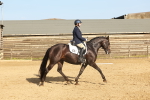 SBM_000366
