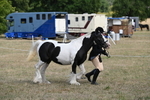 WJ6_6484