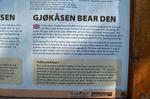 Gjøkåsen bear den, Pasvikdalen, Troms og Finnmark, Norway