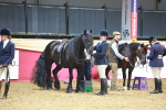 SBM_17852