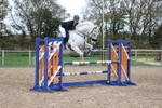 Unaffiliated Show Jumping portfolio