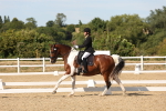 SBM_003870
