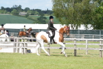 SBM_17573