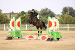 SBM_03682