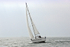 170506 TAMERISK - MORGAN 38 1Y3A8318_Edit