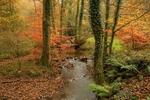 Autumn at Wenchford