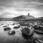 IMG_5386 v6 bw v2