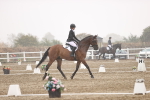 SBM_004657