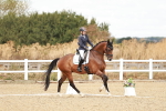 SBM_009566
