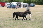 WJ6_6820