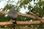 Crane Hawk portfolio