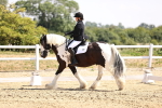 SBM_003691