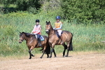 WJ7_8215