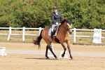 SBM_000480