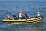 190825 190825 COWES TORQUAY BEE 1Y3A0822