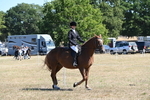 WJ6_8332