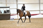 BPP_8217