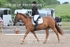 BPP_9295