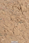 240403A-132354-00597
