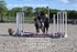 BPP_6721