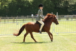 SBM_06874