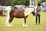 SBM_06055