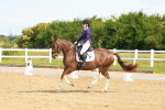 SBM_007639