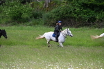 WJ7_8524