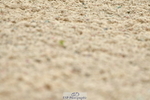 230708A-110112-02475