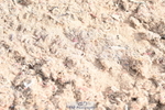 240623A-090550-16152