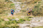 Peris Horseshoe-544
