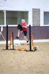 Class 10 - 30cm Championship Final portfolio
