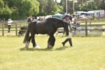 SBM_16087