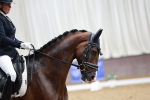 SBM_006499