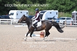 BPP_7169