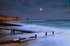 z1426 Moonlit Surf, Freshwater Bay