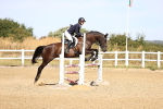 SBM_000236