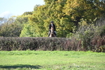WJ6_4990