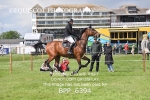 BPP_6394