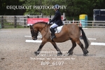 BPP_6197