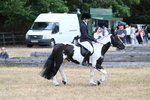 WJ7_7887