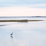 NEW BRUNSWICK, 2017 portfolio