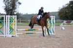 Unaffiliated Show Jumping portfolio