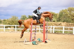 SBM_026997