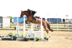 SBM_004591