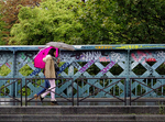 LE PARAPLUIE ROSE - PARIS