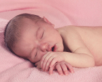 Willow 2