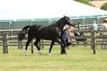 SBM_02368
