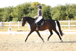 SBM_007658