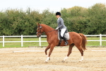 SBM_001352